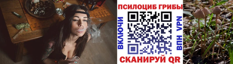 Купить где  Тейково  Псилоцибиновые грибы прущие грибы 